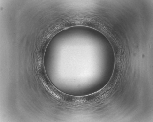 X0000054470593200508191730