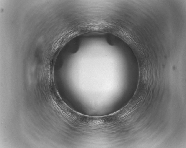 X0000054470594200508191730