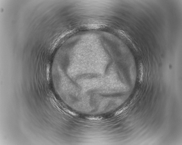 X0000054470596200508191730