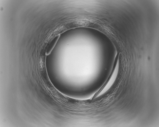 X0000054470597200508191730