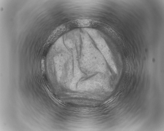 X0000054470598200508191730