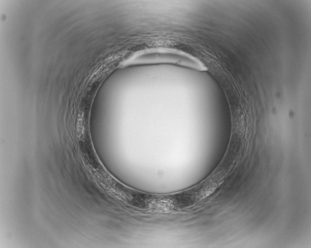 X0000054470599200508191730