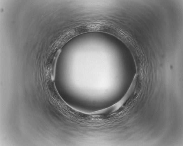 X0000054470601200508191730