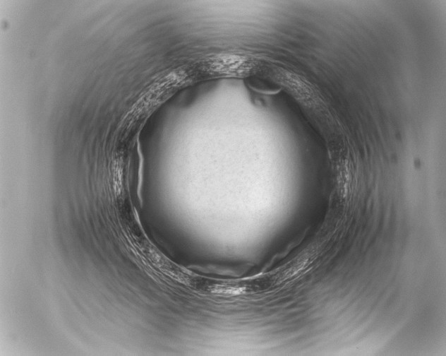 X0000054470602200508191730