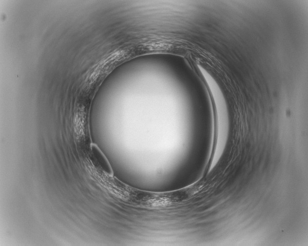 X0000054470604200508191730