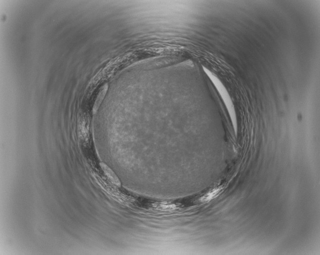 X0000054470607200508191730