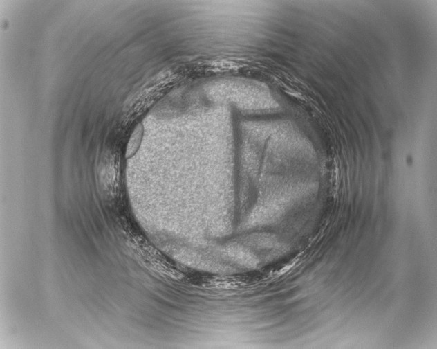 X0000054470608200508191730