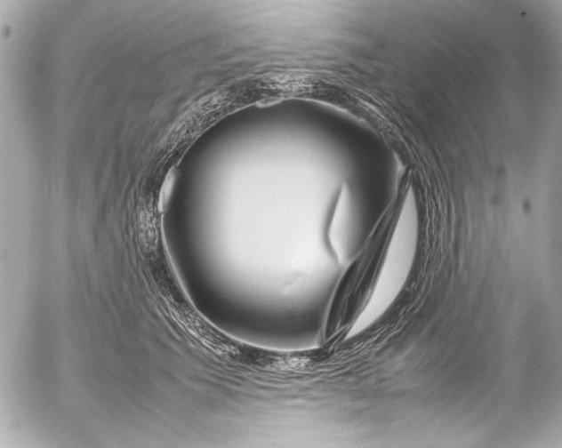 X0000054470609200508191730