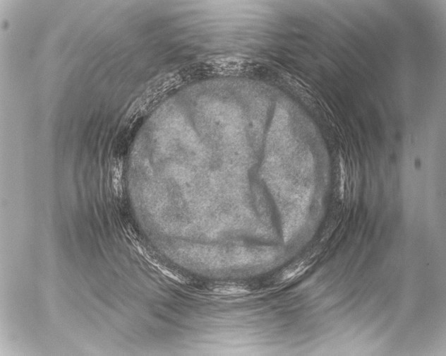 X0000054470610200508191730