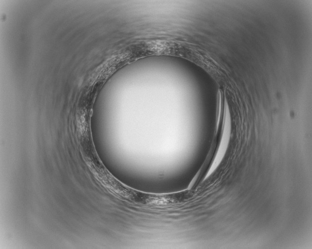 X0000054470611200508191730