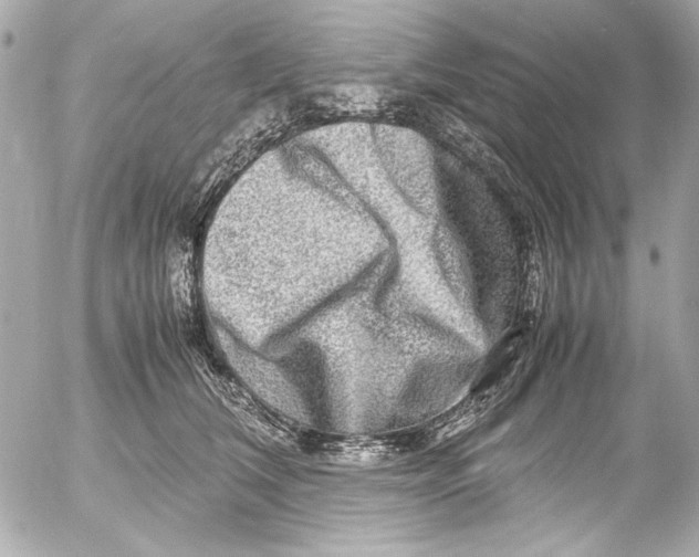 X0000054470612200508191730