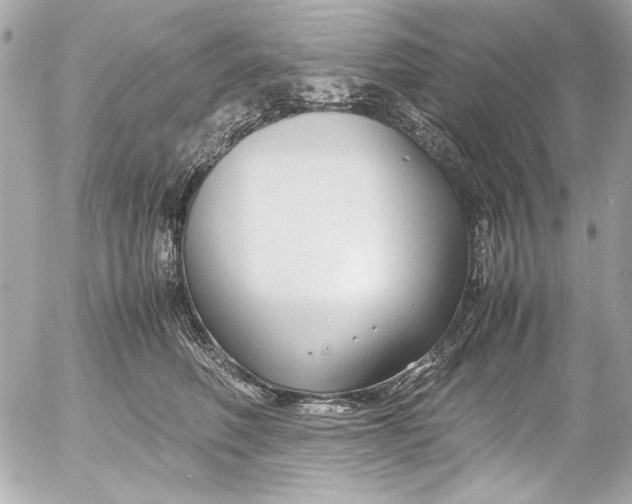 X0000054470614200508191730