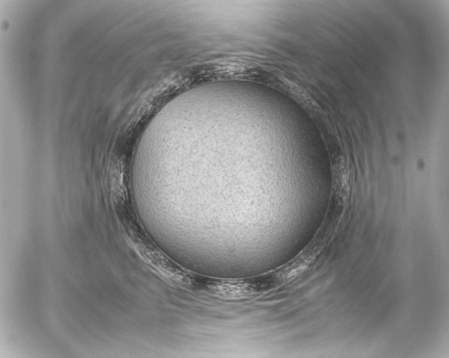 X0000054470615200508191729