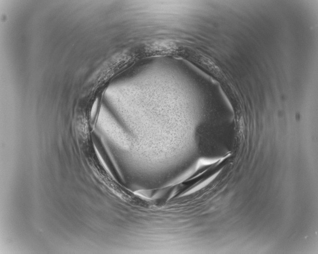 X0000054470617200508191729