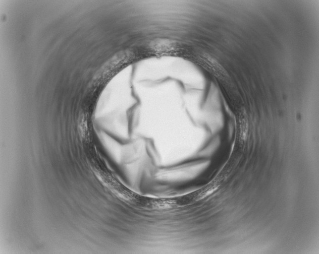 X0000054470618200508191729