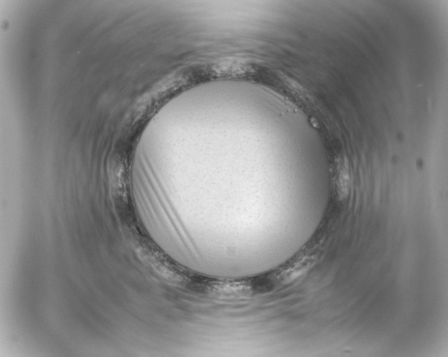 X0000054470619200508191729