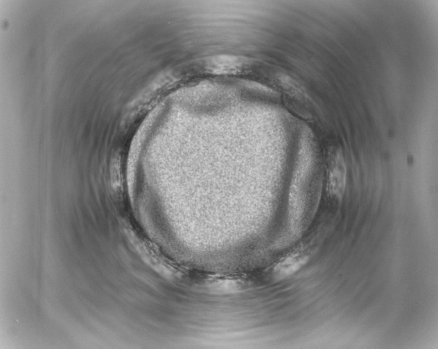 X0000054470620200508191729