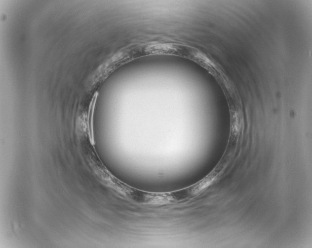 X0000054470621200508191729