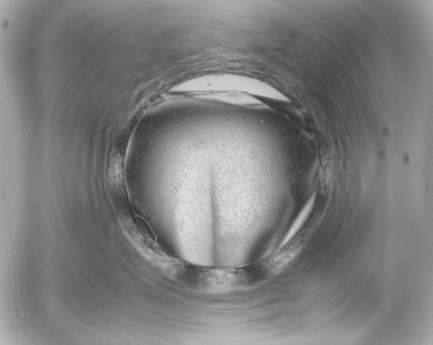 X0000054470623200508191729