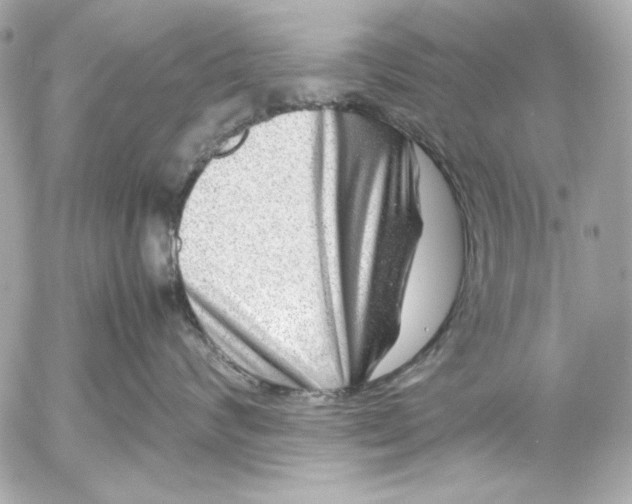 X0000054470624200508191729