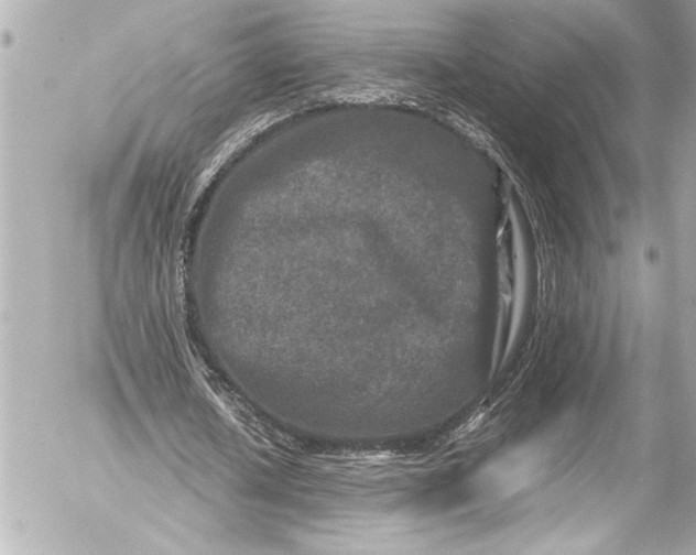 X0000054470626200508191728