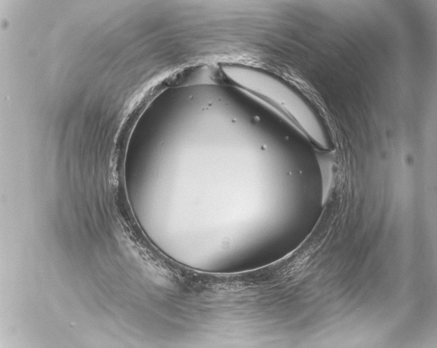 X0000054470628200508191729