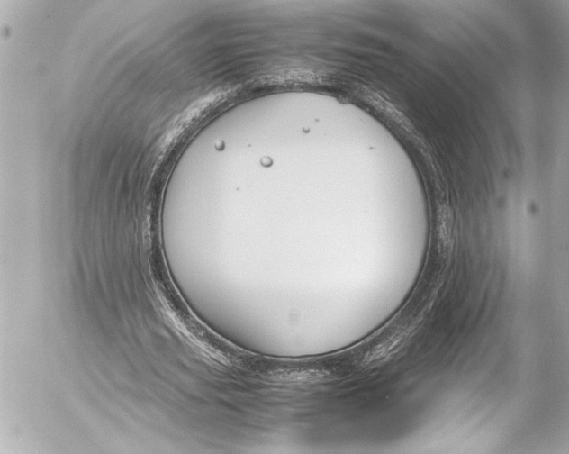 X0000054470629200508191729