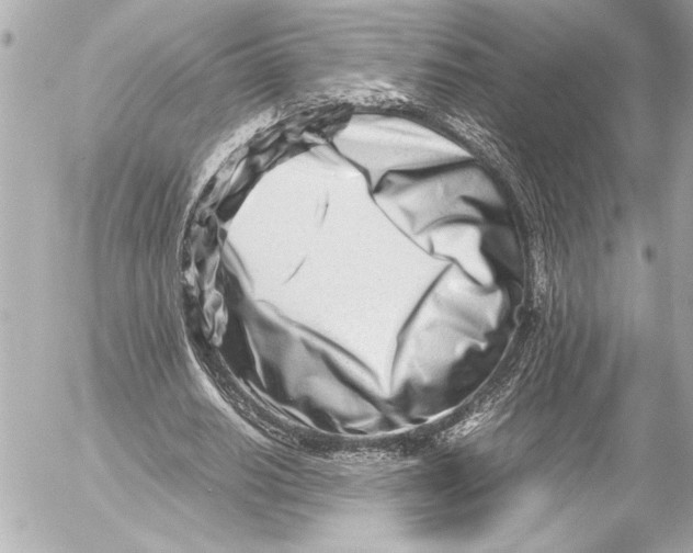 X0000054470630200508191729