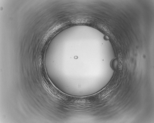 X0000054470631200508191729