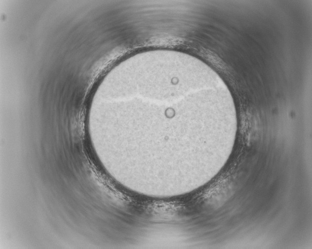 X0000054470632200508191729