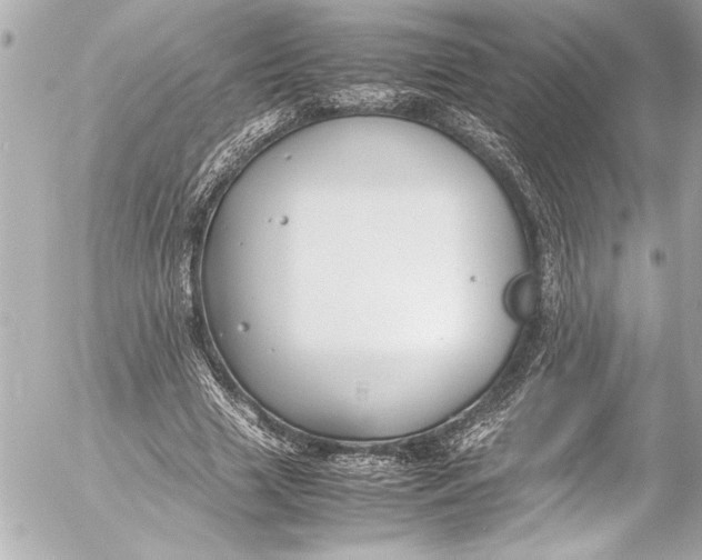 X0000054470633200508191729