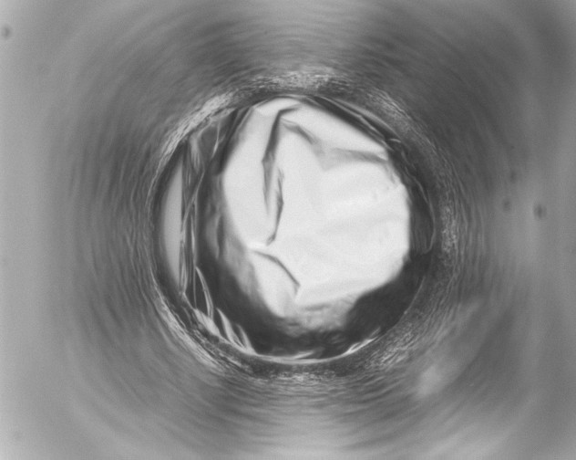 X0000054470634200508191729