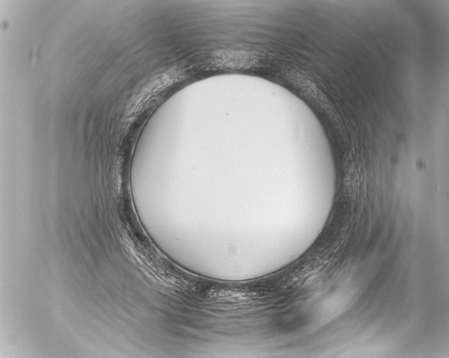 X0000054470635200508191729