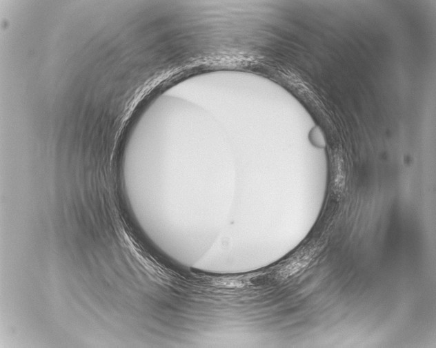 X0000054470636200508191729