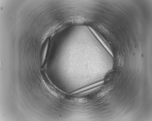 X0000054470638200508191729