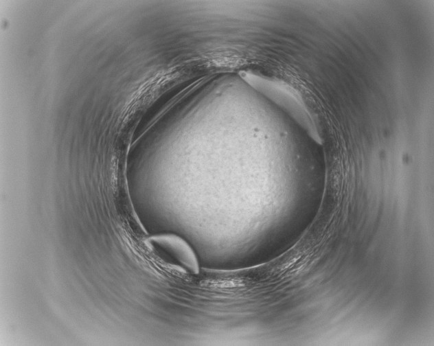 X0000054470639200508191729