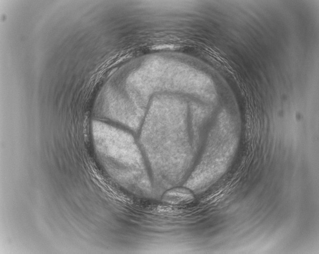 X0000054470641200508191729