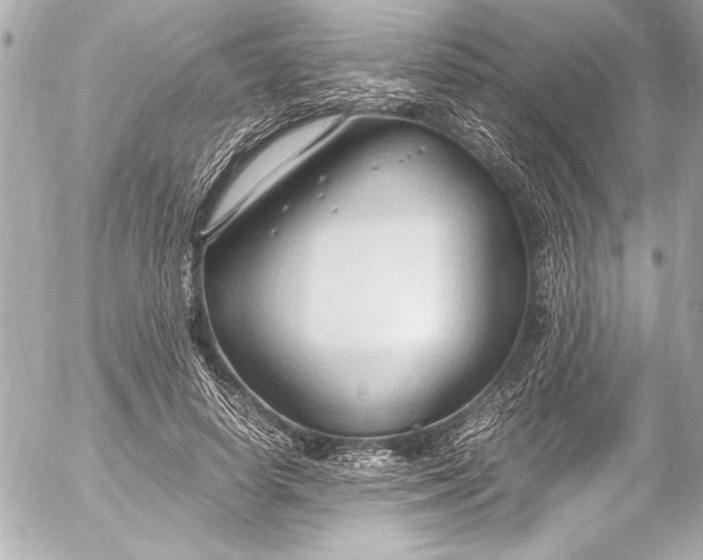 X0000054470642200508191729