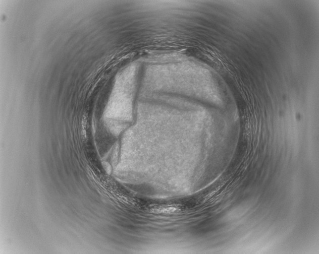 X0000054470643200508191729