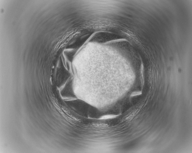 X0000054470644200508191729