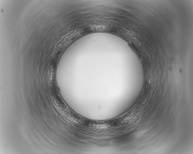 X0000054470645200508191729