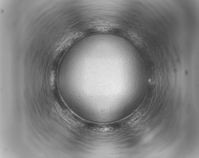 X0000054470646200508191729