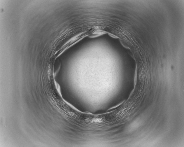 X0000054470647200508191729