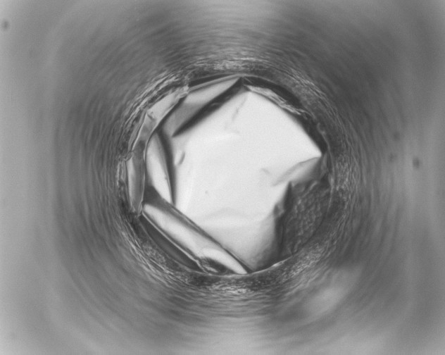 X0000054470648200508191729