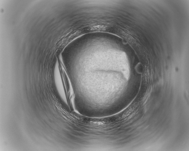 X0000054470649200508191729