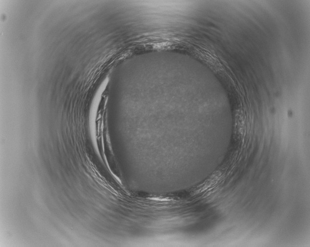 X0000054470650200508191729