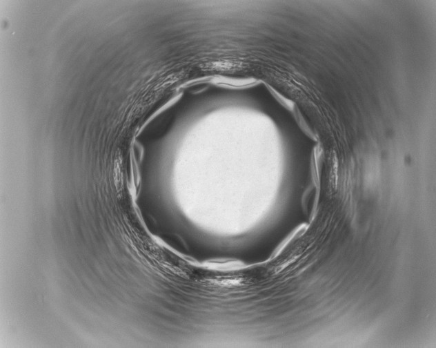 X0000054470651200508191729