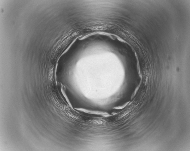 X0000054470652200508191729