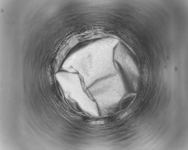 X0000054470653200508191729