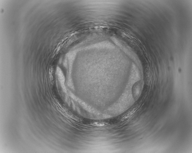 X0000054470654200508191729